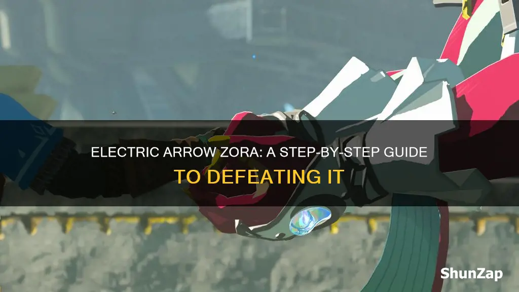 how to kill electric arrow zora mondter