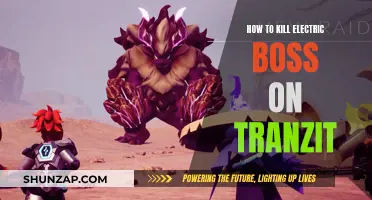 Killing Electric Boss: TranZit Strategies