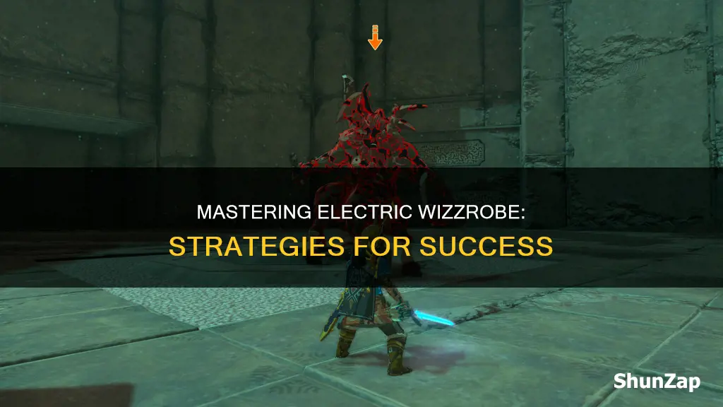 how to kill electric wizzrobe on mastermode