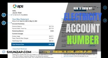 Finding Your Electricity Account Number: A Quick Guide