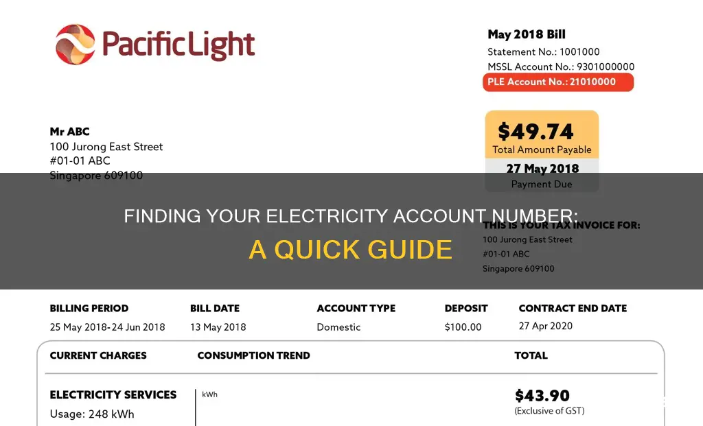 how to know my electricity account number