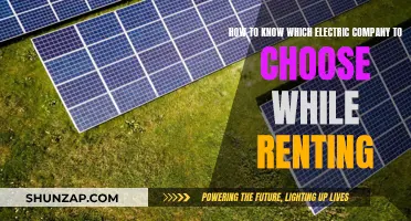 Choosing an Electric Company: A Renter's Guide