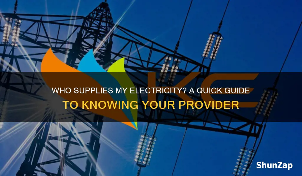 how to know who provides my electricity