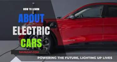 Mastering Electric Vehicles: A Beginner's Guide to EV Knowledge