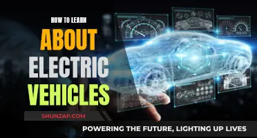 Unveiling the Secrets of Electric Vehicles: A Beginner's Guide