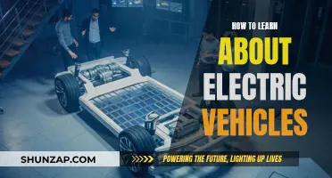 Understanding Electric Vehicles: A Beginner's Guide to EV Learning