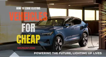 Leasing Electric Vehicles: Affordable Options for You