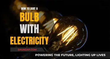 Electricity Basics: Lighting a Bulb
