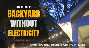 Light Up Your Yard: No Electricity, No Problem!