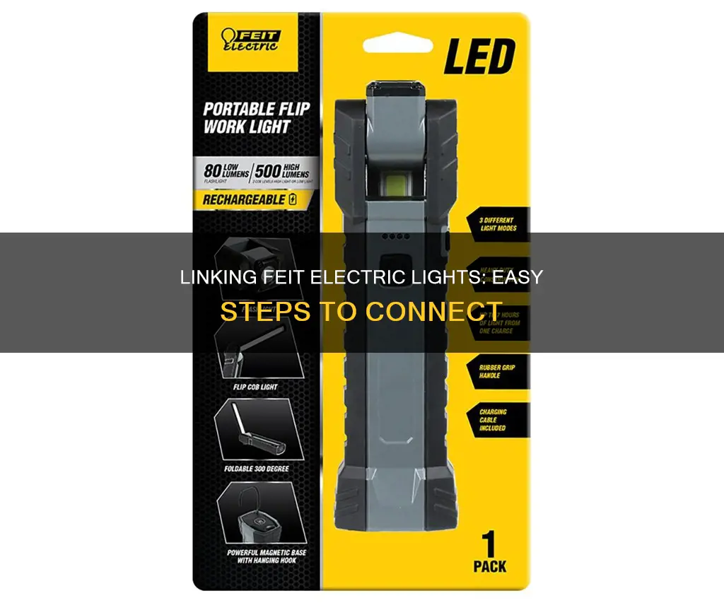 how to link 2 ft feit electric