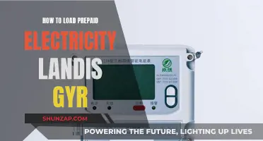 Easy Guide: Loading Prepaid Electricity with Landis+Gyr