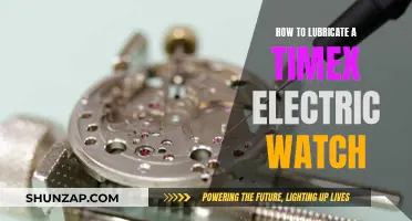 Lubricating a Timex Electric Watch: Step-by-Step Guide