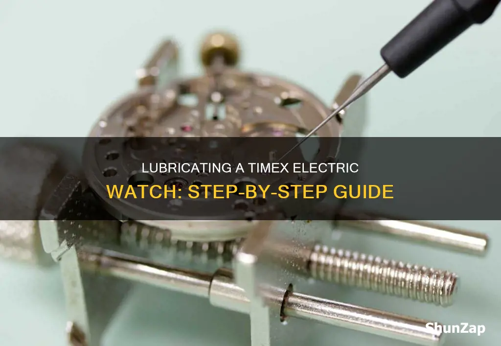 how to lubricate a timex electric watch