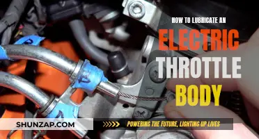 Lubricating Electric Throttle Bodies: Step-by-Step Guide