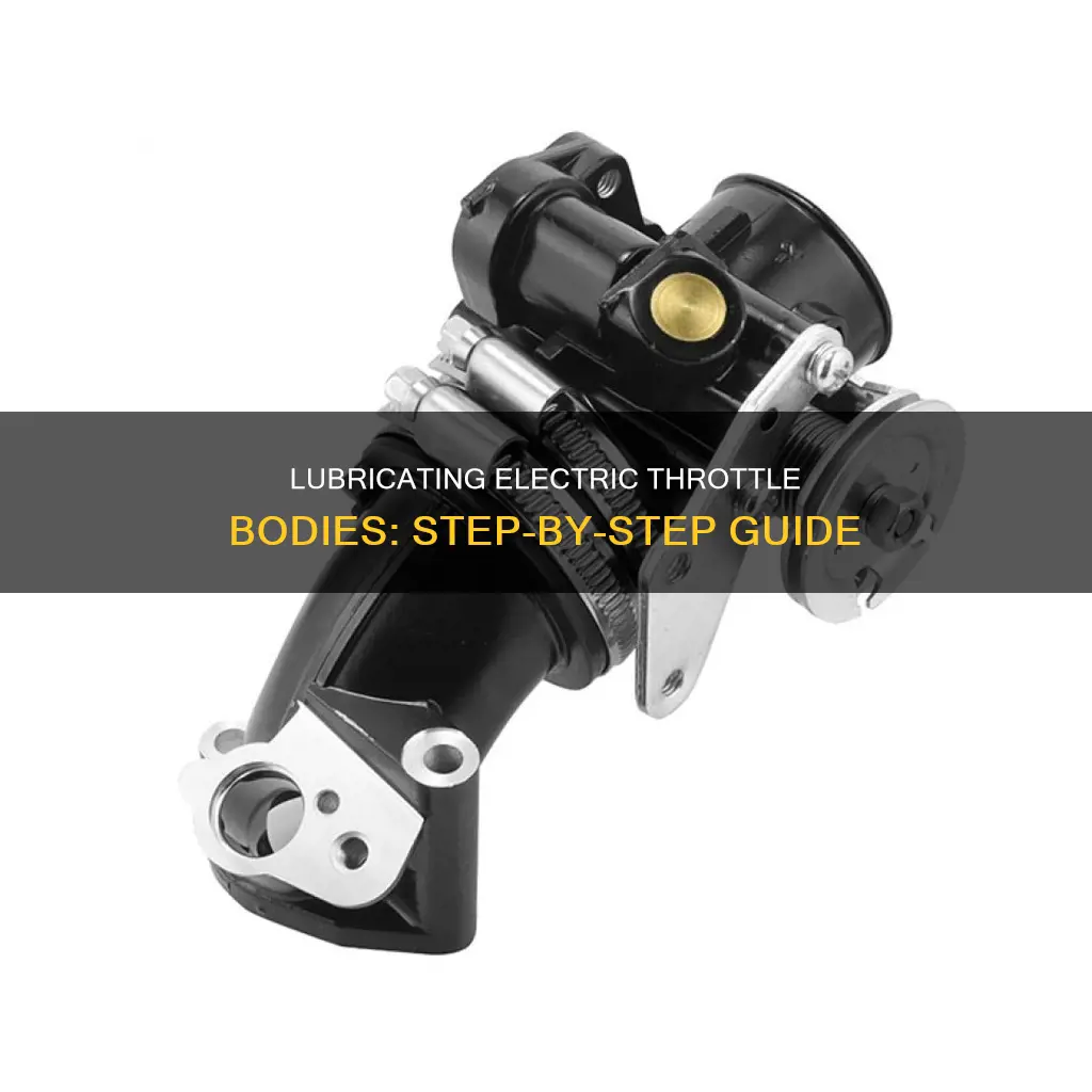 how to lubricate an electric throttle body