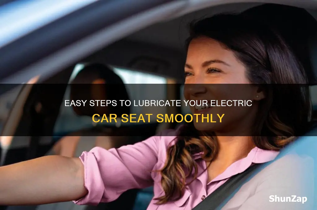 how to lubricate electric car seat