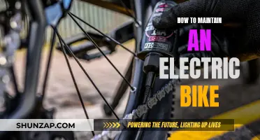 The Ultimate Guide to Electric Bike Maintenance