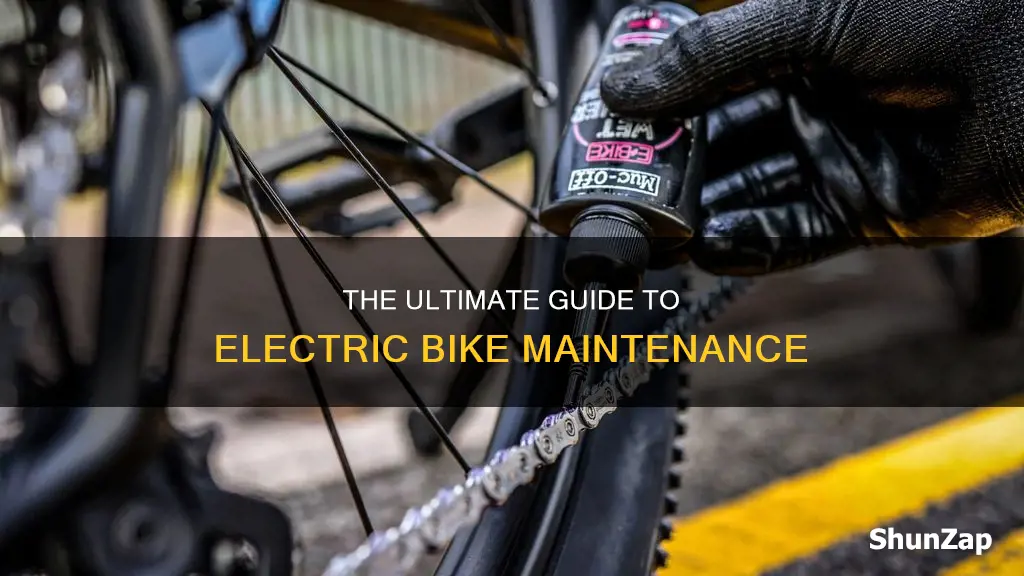 how to maintain an electric bike