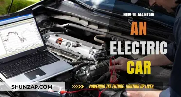Essential Tips for Maintaining Your Electric Vehicle's Performance and Longevity