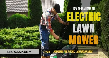 Electric Lawn Mower Maintenance: Simple Steps for Optimum Performance