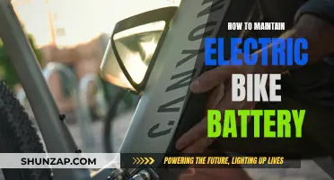 Electric Bike Battery Care: Tips for Longevity