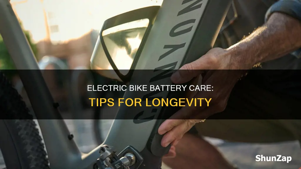 how to maintain electric bike battery