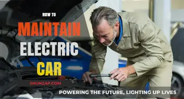 Essential Tips for Maintaining Your Electric Vehicle's Performance and Longevity