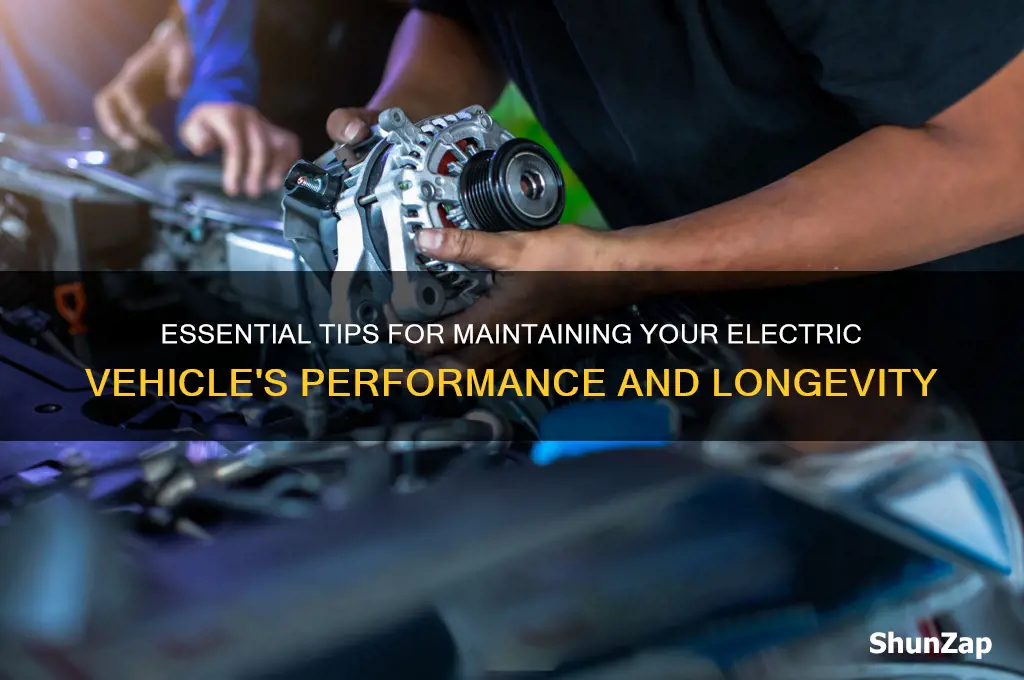 how to maintain electric car