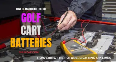 Extending Electric Golf Cart Battery Life: Maintenance Tips