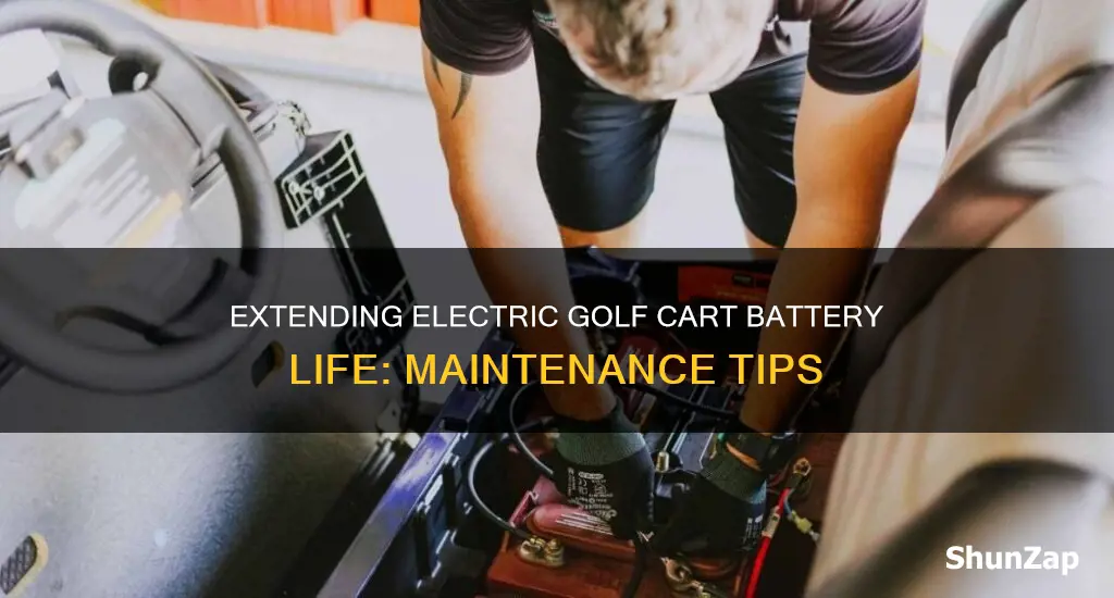 how to maintain electric golf cart batteries
