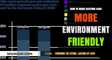 Sustainable Electric Vehicles: Enhancing Eco-Friendliness in EV Production and Use