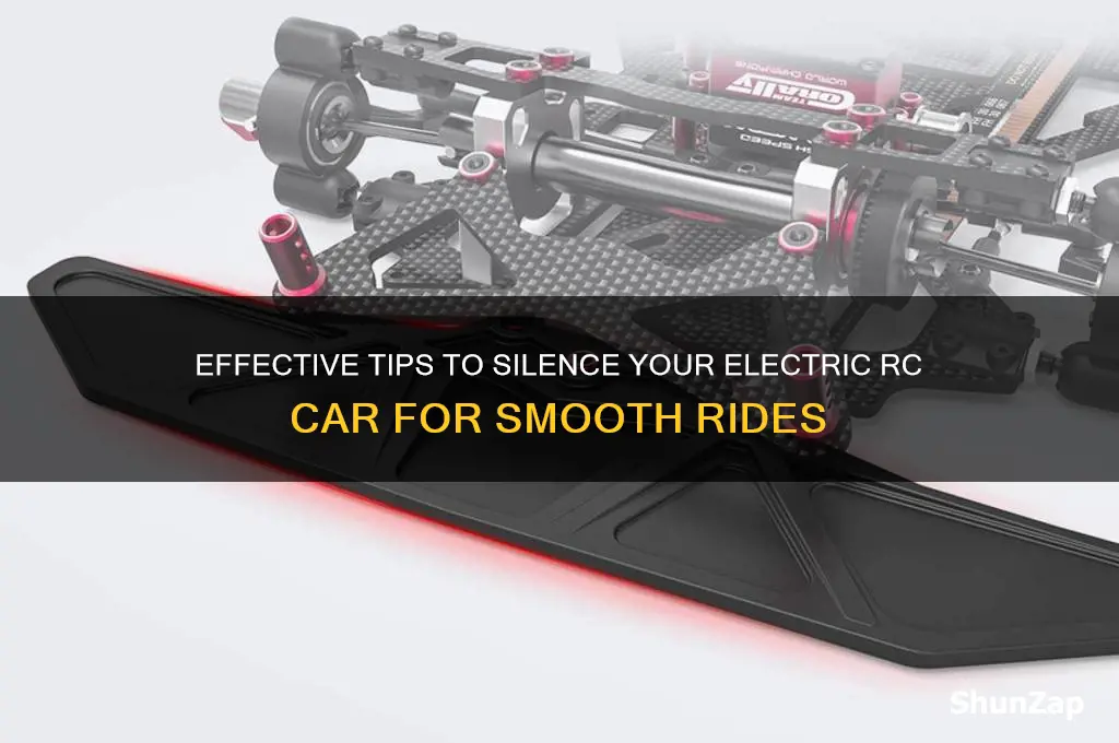 how to make electric rc car quieter