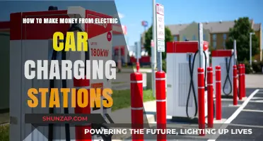 Profitable EV Charging Stations: Strategies to Maximize Revenue and Growth
