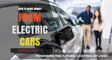Profitable Strategies for Earning Income Through Electric Vehicles