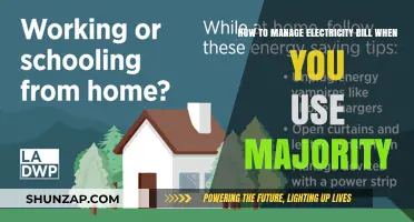 Efficient Energy Management: Tips to Lower Your Electricity Bill