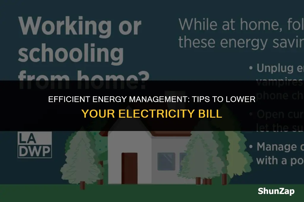 how to manage electricity bill when you use majority