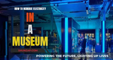 Electricity Management: Museum Strategies for Energy Efficiency