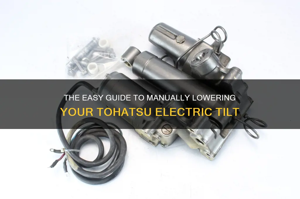 how to manually lower tohatsu electric tilt