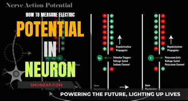 Measuring Electric Potential in Neurons: A Comprehensive Guide