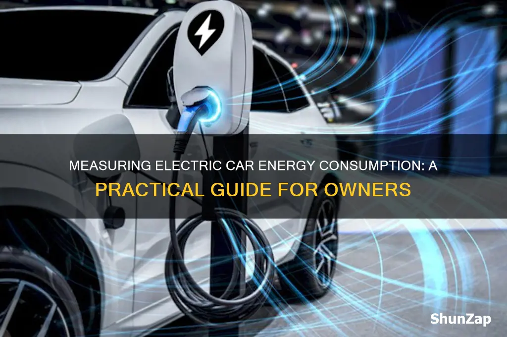 how to measure electrical usage for electric car