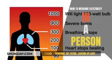 Measuring Human Electricity: Understanding Bioelectricity
