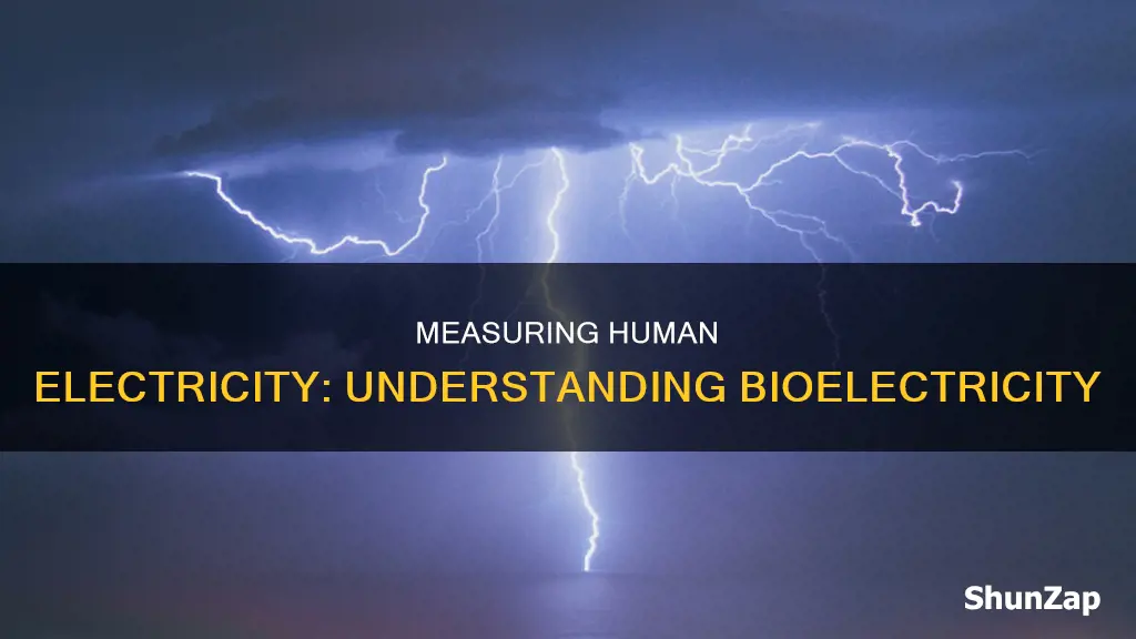 how to measure electricity in a person