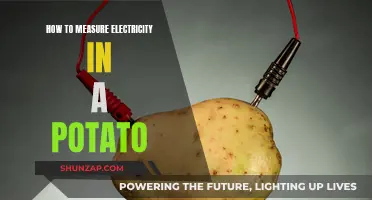 Measuring Potato Power: A Simple Electricity Experiment