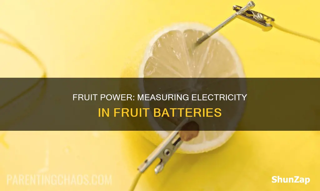 how to measure electricity in fruit batteries