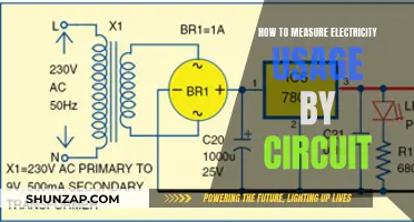 Measuring Electricity Usage: Circuit-Level Insights