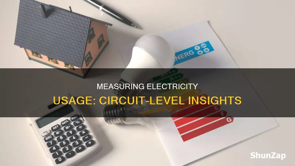 how to measure electricity usage by circuit