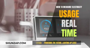 Real-Time Electricity Usage: Monitoring Power Consumption