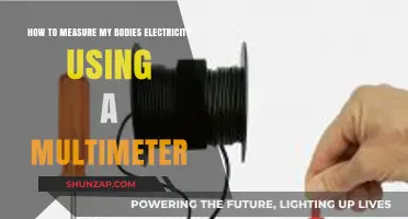 Exploring Your Body's Electric Potential with a Multimeter
