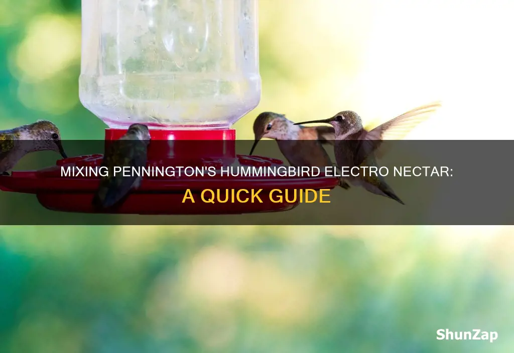 how to mix pennington hummingbird electro nectar