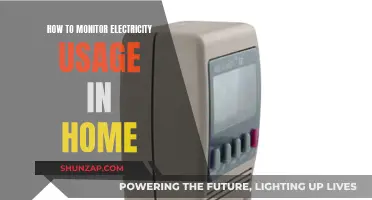 Monitoring Home Electricity Usage: Smart Meter Solutions